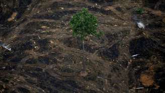 Área desmatada perto de Porto Velho; taxa de desmatamento anunciada nesta segunda-feira é a maior desde 2008