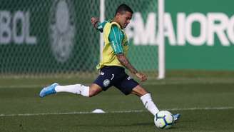 Dudu treinou com Palmeiras na reapresentação do elenco, na tarde desta terça-feira (Agência Palmeiras/Divulgação)