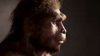 Reconstrução do Homo erectus, conhecido como o primeiro ser humano a andar totalmente ereto