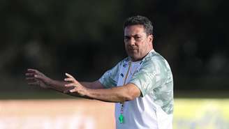 Vanderlei Luxemburgo começará a sua quinta passagem comandando o Palmeiras (Agência Palmeiras/Divulgação)