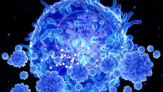 As células T são um tipo de linfócito, células de defesa do sistema imunológico presentes no sangue