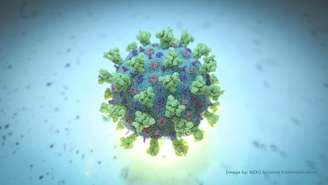 Nova variante do coronavírus se espalha pela Europa18/02/2020
NEXU Science Communication/via REUTERS