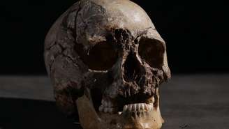 Embora os esqueletos em exposição nos museus possam dar a impressão contrária, os ossos sob a nossa pele estão muito vivos