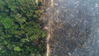 Vista aérea da Amazônia após queimadas perto de Apuí, no Amazonas
11/08/2020
REUTERS/Ueslei Marcelino/File Photo