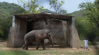 Kaavan com um treinador no zoológico Marghazar em junho de 2016