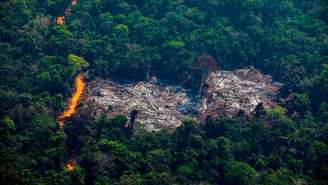 Área desmatada dentro da Terra Indígena Menkragnoti, no Pará; Estado foi responsável por 46,8% do desmatamento no país no último ano