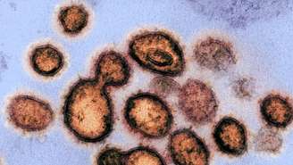 No último sábado, o Reino Unido anunciou a descoberta de uma nova variante do coronavírus mais infecciosa e "fora de controle", segundo o ministro da Saúde britânico Matt Hancock