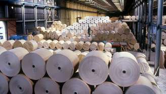 Fabricantes de papel higiênico estão em alerta após encarecimento da matéria-prima no Brasil