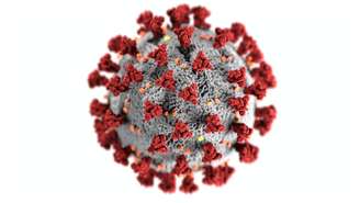 Com controle precário e vacinação lenta, é possível que país conviva com o coronavírus por muito tempo ainda