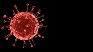 Por mais que o primeiro caso tenha sido detectado no Brasil no dia 26 de fevereiro de 2020, hoje sabe-se que o coronavírus já circulava por aqui muito antes disso