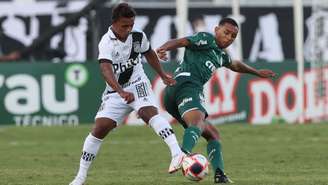 Michel estreou na vitória por 3 a 0 diante da Ponte Preta (Foto: Cesar Greco/Palmeiras)