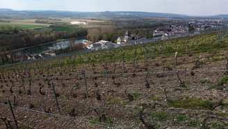 Vinícola em Champagne, na França
14/04/2021
REUTERS/Pascal Rossignol