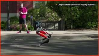 Robô bípede da Universidade do Oregon bate recorde em corrida de 5 km
Universidade do Oregon/Divulgação/REUTERS