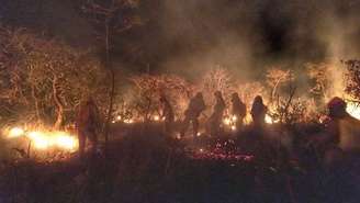 Bombeiros apagam incêndio na Caatinga no Ceará