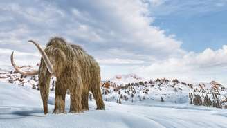 Os mamutes lanosos foram extintos há milênios, mas com a tecnologia de engenharia genética do século 21, cientistas querem trazê-lo de volta à Terra