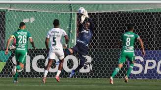 Chape foi superada pelo Palmeiras e Ceará (Cesar Greco / Palmeiras)