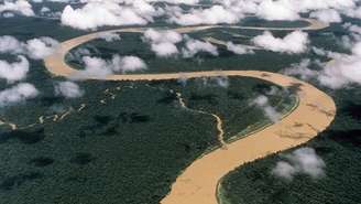 O rio Japurá, na fronteira entre o Brasil e a Colômbia, é afluente do rio Solimões