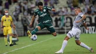 Foto: Cesar Greco / Palmeiras