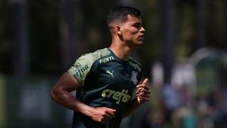 Danilo Barbosa realizando atividades físicas na Academia de Futebol (Foto: TV Palmeiras/Reprodução)