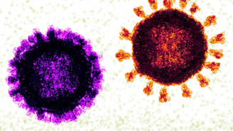 Os casos de flurona, em que há a detecção de influenza e coronavírus ao mesmo tempo, viraram notícia a partir da virada de 2022