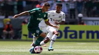 Palmeiras venceu o Santos por 4 a 0 na final da Copinha (Foto: Reprodução/@SantosFC)