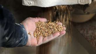 O mundo pode entrar numa crise de fornecimento de grãos por causa da Guerra
