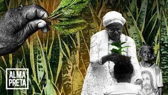 Colagem mostrando benzedeiras utilizando ervas e plantas para o cuidado com a saúde.