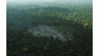 Abertura na floresta amazônica por madeireiros e agricultores, na Terra Indígena Cachoeira Seca, no Estado do Pará  