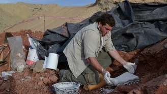 Uma equipe de paleontólogos descobriu os restos mortais na Cordilheira dos Andes da Argentina em 2012