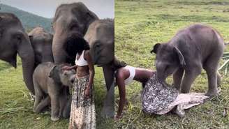 A modelo Megan Milan compartilhou nas redes sociais o momento em que um elefante arranca sua saia durante uma visita a um santuário na Tailândia.