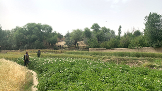 A BBC visitou a região de Andarab, no Afeganistão, sob o olhar atento dos guardas do Talebã.