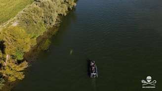 Baleia beluga está presa entre duas eclusas no rio Sena