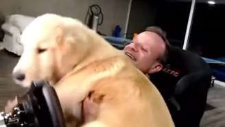 Barrichello causa gargalhadas com presença de cachorro em live