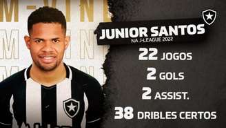 Junior Santos é o novo reforço do Botafogo (Foto: Divulgação / Botafogo)