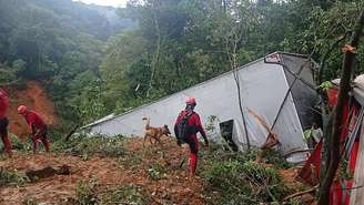 Bombeiros do Paraná atuam nas buscas junto de cães farejadores