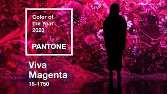 Viva magenta pantone