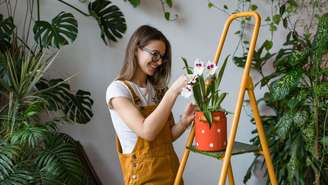 Preserve a beleza e vitalidade das suas plantas no verão -