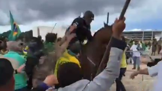 Cavalo agredido por bolsonaristas durante invasão a Brasília apresenta inchaços 