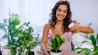 Tenha essas plantas em casa para atrair o bem-estar -