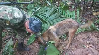 Cães farejadores encontraram uma tesoura que as equipes de busca acham que sugere que as crianças sobreviveram