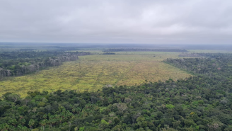 Desmatamento destrói até 92% no entorno de terras indígenas na Amazônia, segundo levantamento