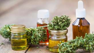 Importação de produtos à base de cannabis - Shutterstock