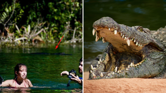 Mulher é mordida na cabeça por crocodilo de quase três metros e sobrevive na Flórida