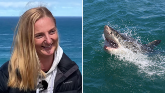 Jovem de 32 anos segue estável após ter sido mordida no rosto por tubarão-branco, na Austrália