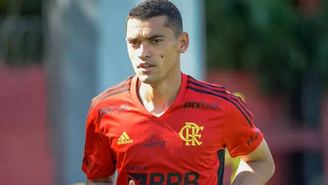 Goleiro Santos, do Flamengo -