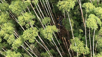 Destroços do helicóptero foram encontrados nesta sexta-feira 