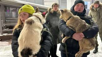 Em Ulan-Ude, na Sibéria, 18 cachorros de rua foram abatidos pelas autoridades na última semana, o que levou ativistas a reagir