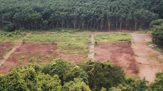 Área de desmatamento na floresta Amazônia.