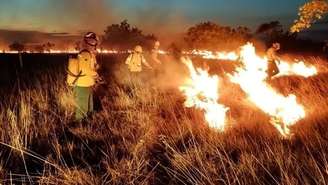 Roraima registrou em fevereiro quase 30% dos focos de calor em todo o país