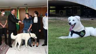 Michelle Bolsonaro e cachorro apelidado de Augusto Bolsonaro